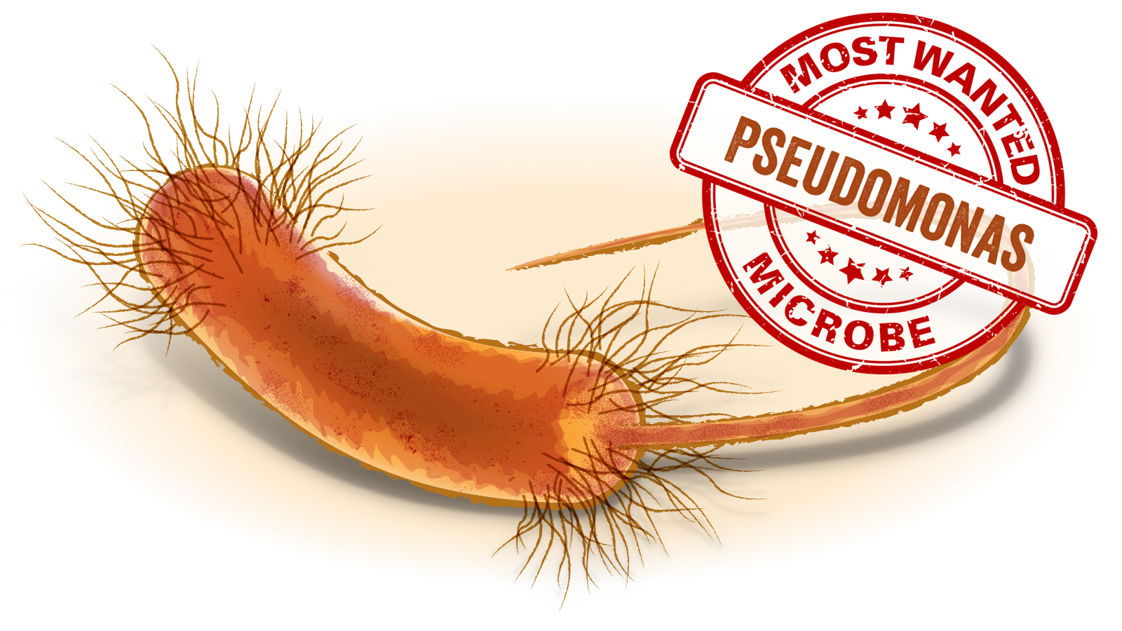 Most Wanted Microbes Pseudomonas LuminUltra